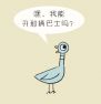 鸽子开车-3